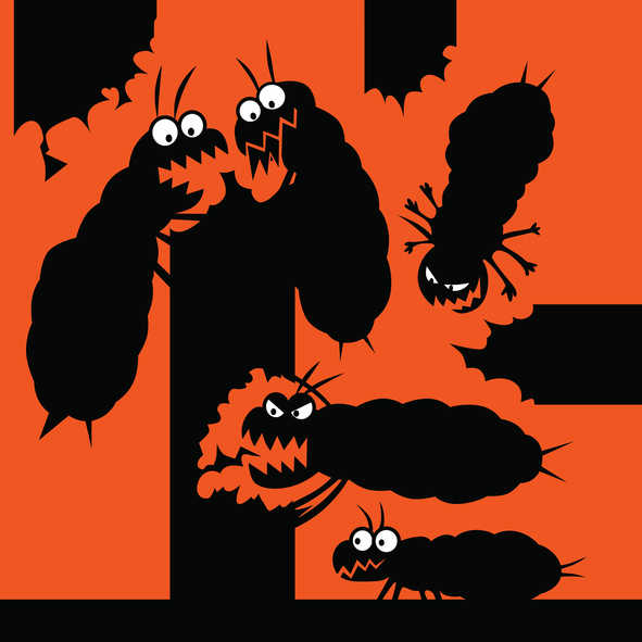 termite fumigation september 2017