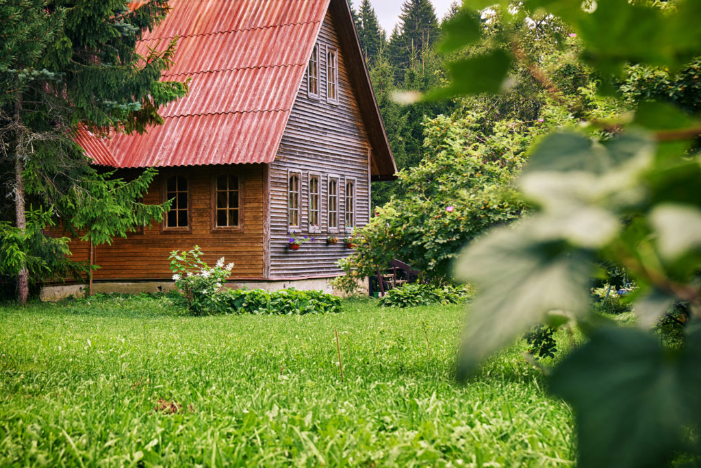 Termites Survive Winter